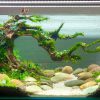 Bể thủy sinh bonsai dáng đổ - BTS10 1