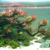 Bể thủy sinh bonsai dáng đổ - BTS42 1