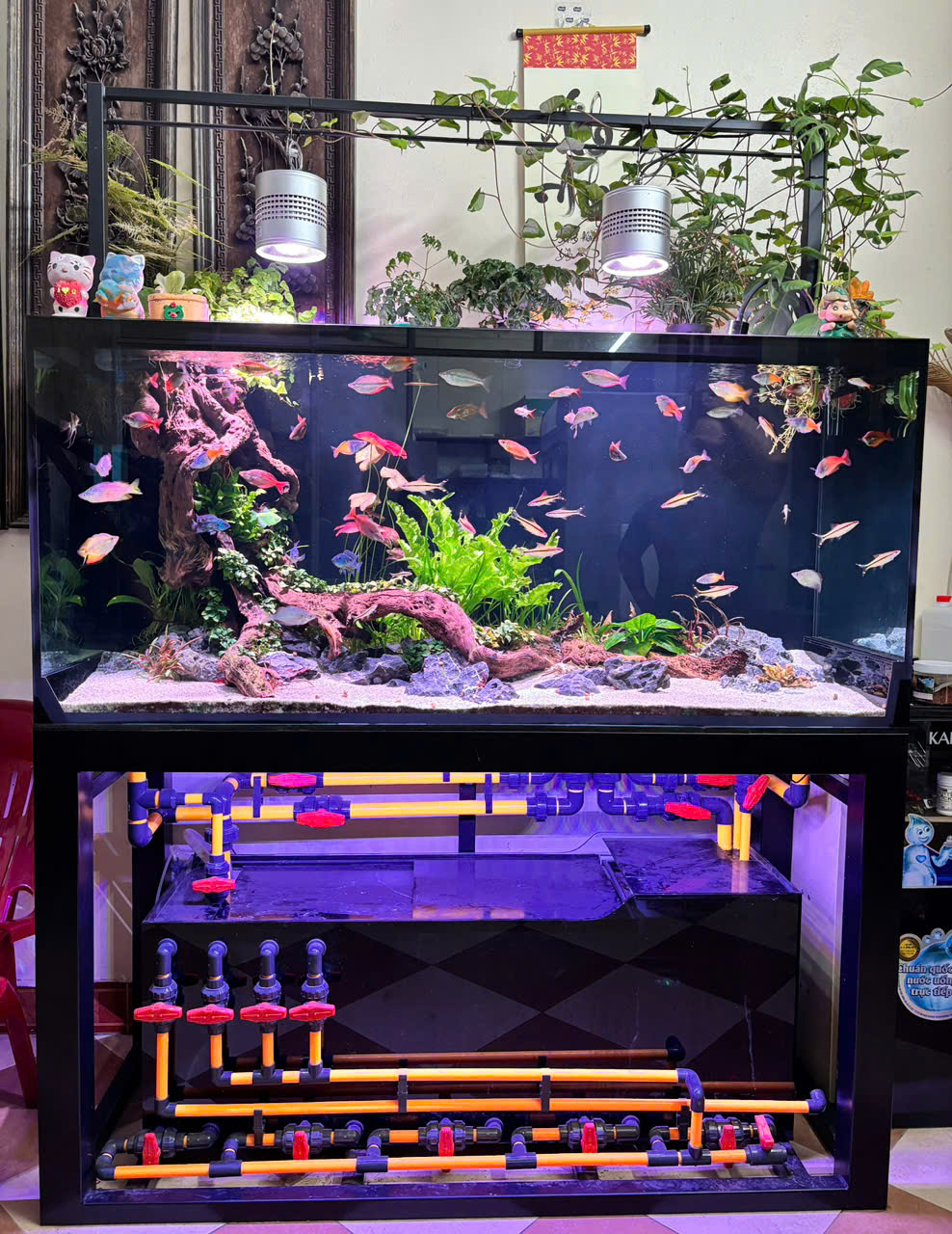 BỂ CÁ CÔNG NGHỆ MỚI 2