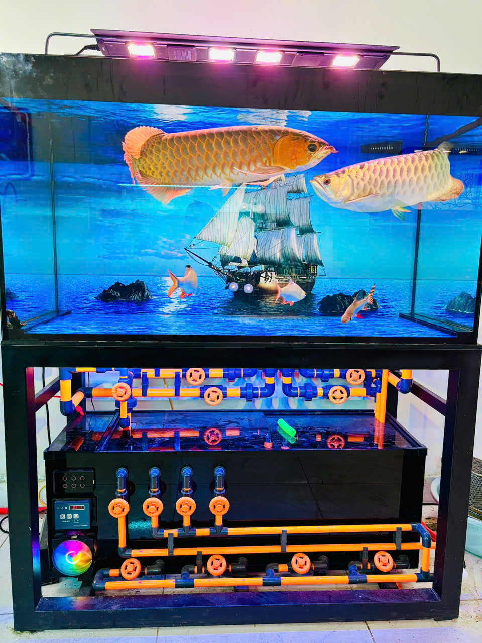 BỂ CÁ CÔNG NGHỆ MỚI 1