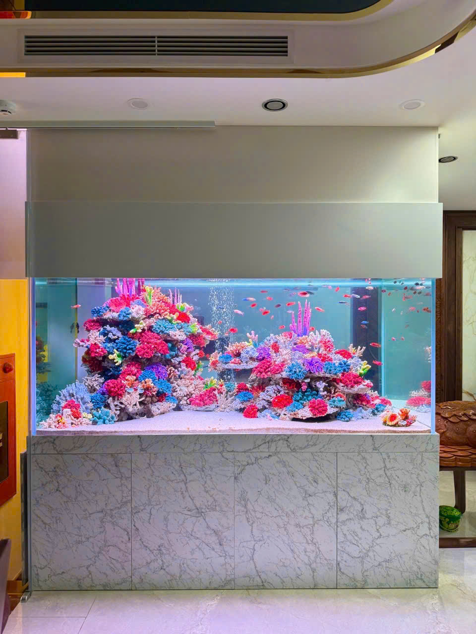 BỂ CÁ CÔNG NGHỆ MỚI 3