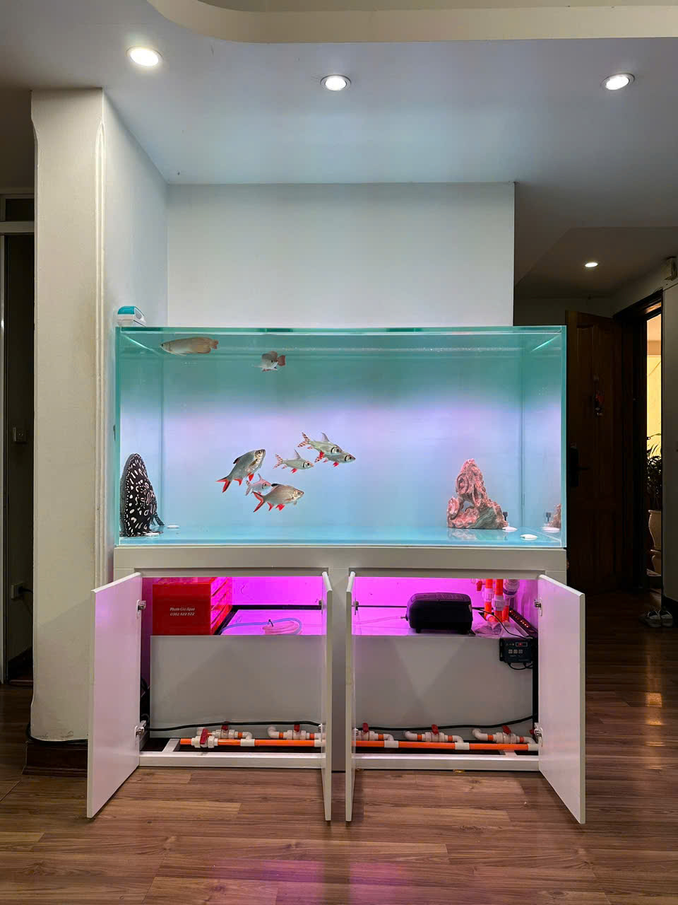 BỂ CÁ CÔNG NGHỆ MỚI 5