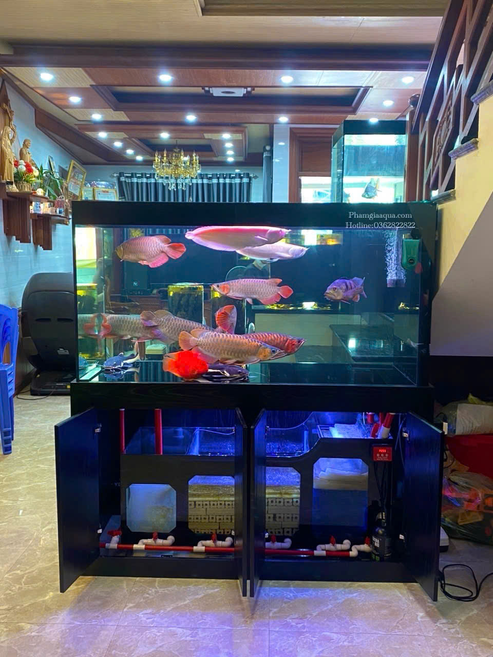 BỂ CÁ CÔNG NGHỆ MỚI 4