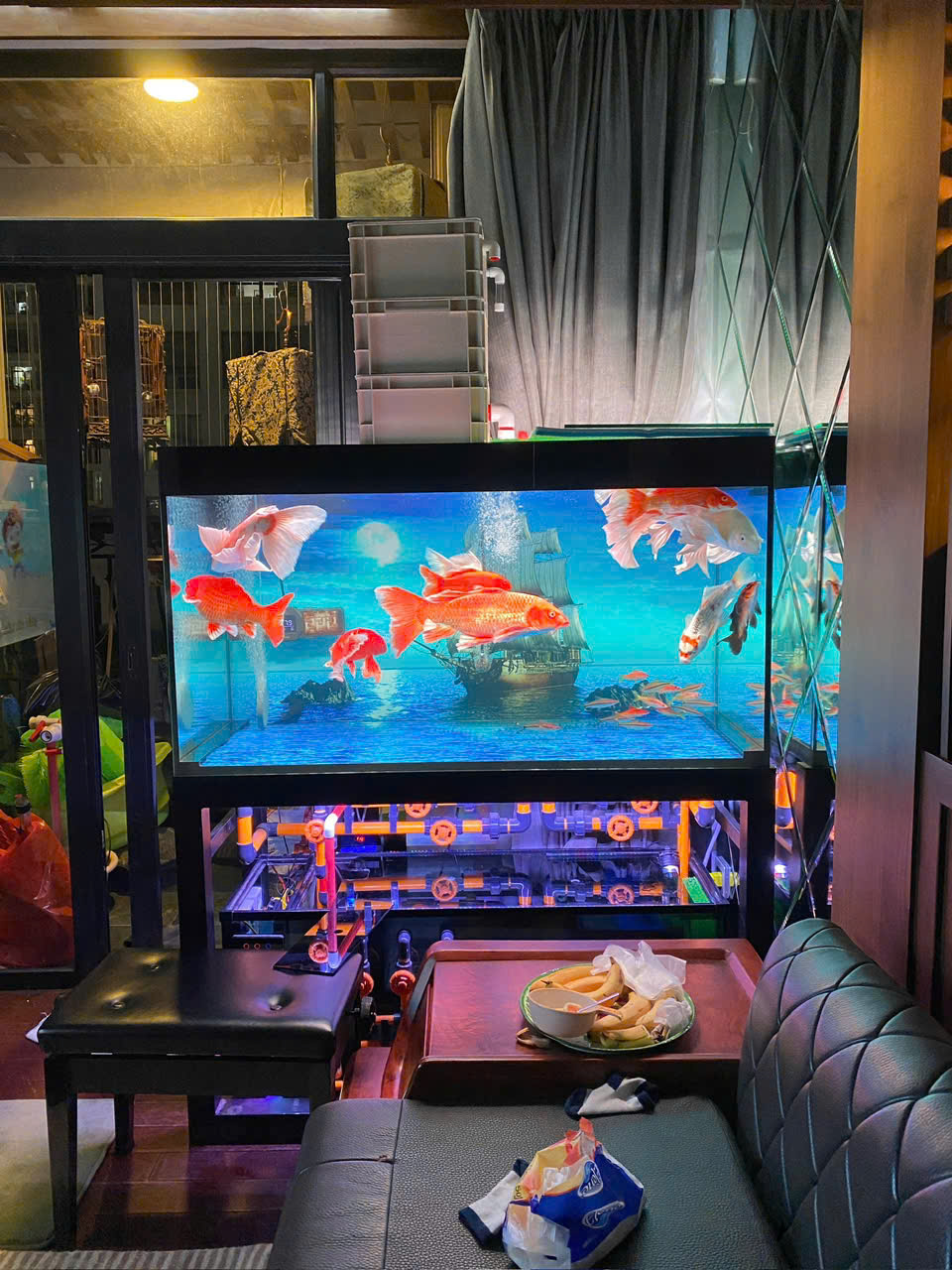 BỂ CÁ CÔNG NGHỆ MỚI 8