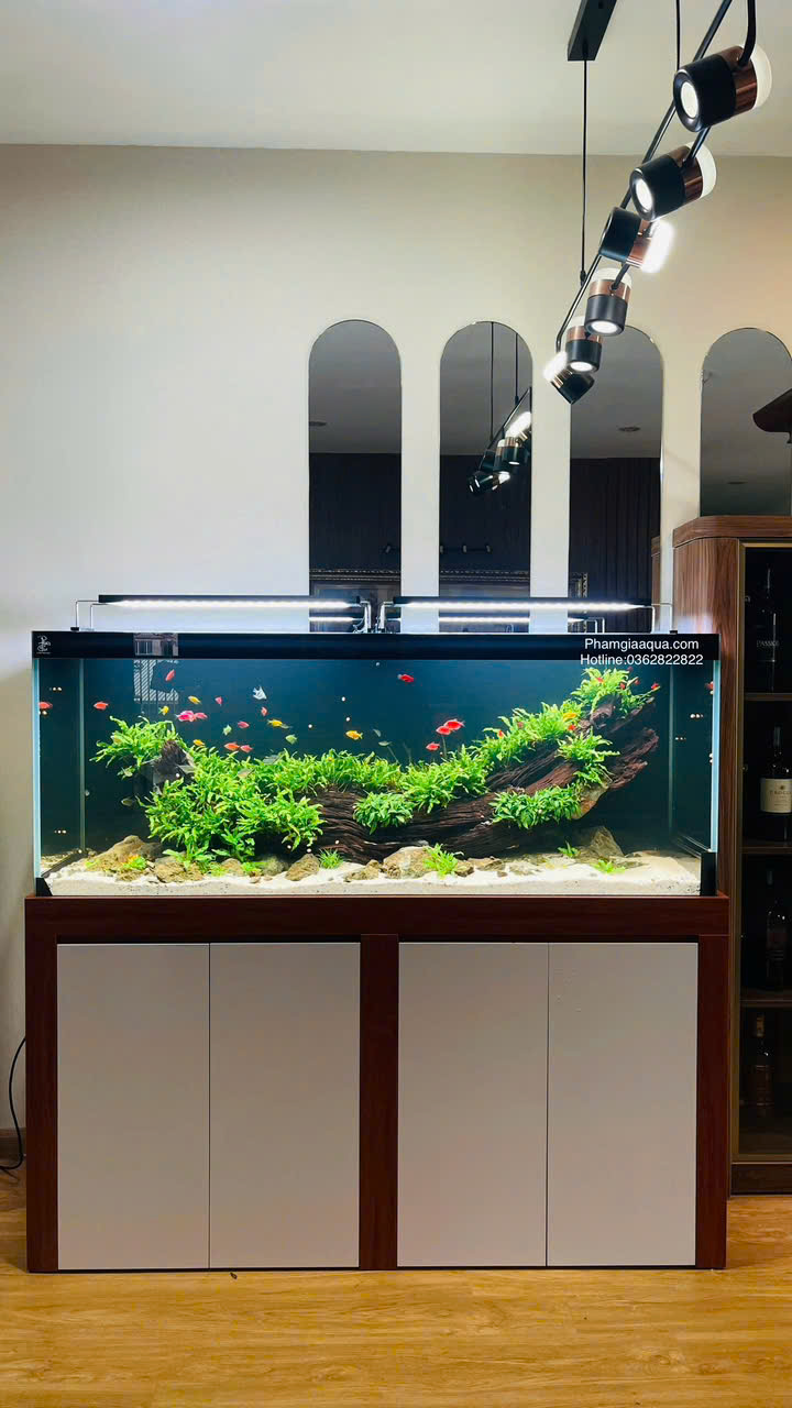 BỂ CÁ CÔNG NGHỆ MỚI 6